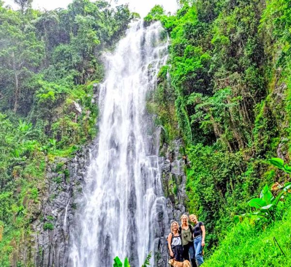 kilimanjaro-national-park-day-trip