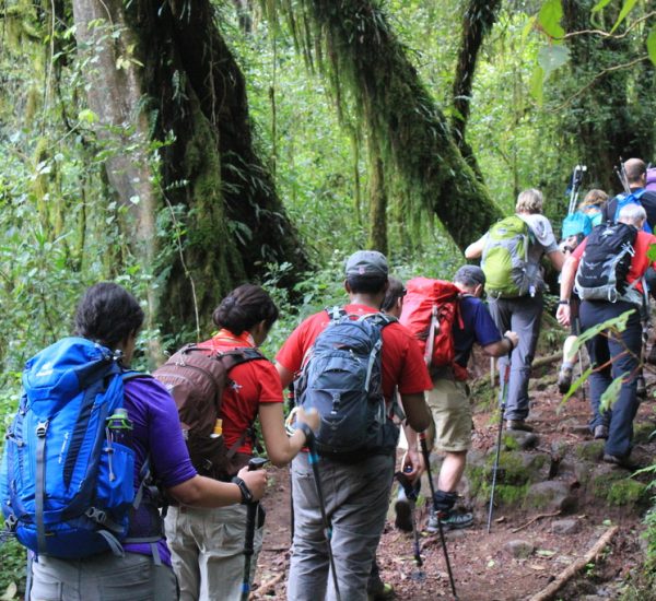 mt-kilimanjaro-national-park-day-trip